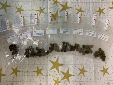 Adventskalender Nachfüller Snack Herzlies